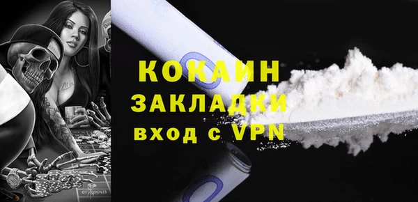 твердый Ельня