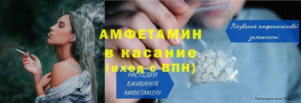 твердый Ельня