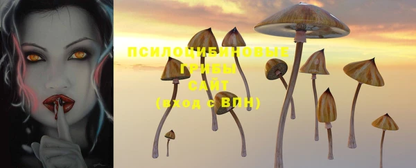 твердый Ельня