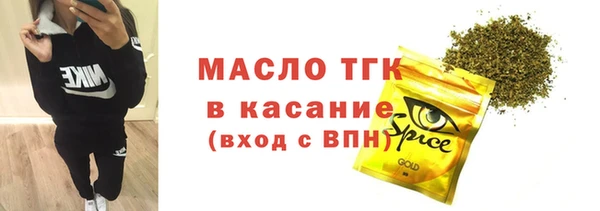 твердый Ельня