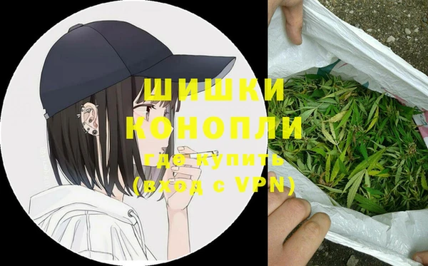 твердый Ельня