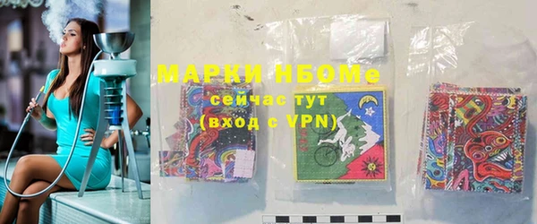 твердый Ельня