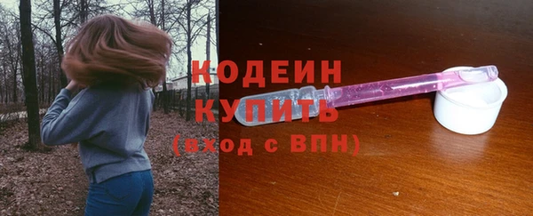 твердый Ельня