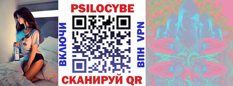 Купить где  Каменногорск  Псилоцибиновые грибы MAGIC MUSHROOMS 
