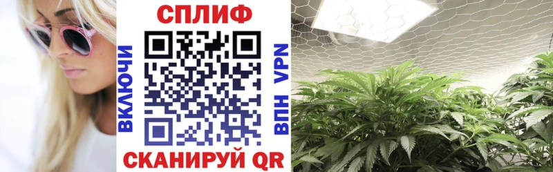 Бошки марихуана THC 21%  Купить  Каменногорск 